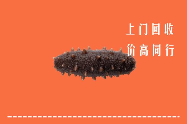 保德县高价回收海参