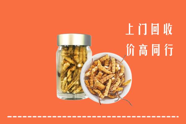高价求购：保德县回收冬虫夏草